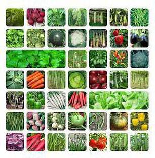 Greenery Hub MIX vegetable seeds Seed