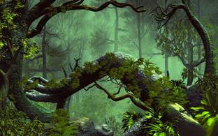 Wallprism Nature Multicolor Wallpaper