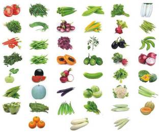 Inndica florina Vegetable seeds combo, 40 variety seeds, Hybrid Seeds Seed