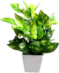 Green Plant indoor MoneyP001 Bonsai Artificial Plant  with Pot