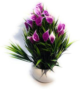 Green Plant indoor BonsaiF1004 Bonsai Wild Artificial Plant  with Pot