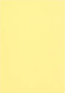 snow crafts Single Color Unruled A4 75 gsm Coloured Paper