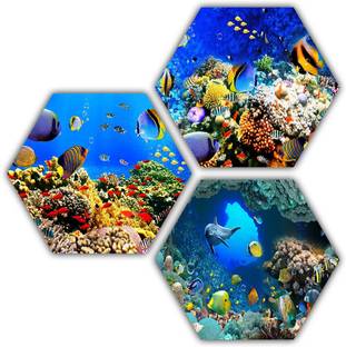 Janki Modern Art Fish 3 Piece Set of 3 Hexagon 6mm MDF Wall Painting Digital Reprint 21.5 inch x 21.5 inch Painting
