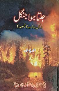 Jalta Huwa Jungle Urdu Novel
