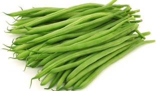 Beans Haricot