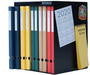 Pennline 10 Compartments Metal Cabinet with 10 Vertical Slim Office File Folders (Spring Binder) Cabinet