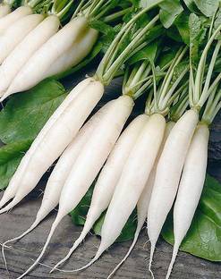 Paudha Radish Seed