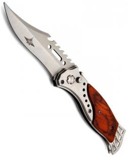 NSV Folding Push Button Lock Knife For Hiking , Camping , Travelling With Torch Pocket Knife