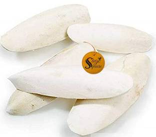 Sage Square Natural High Calcium Source Cuttlebone Fish for Turtle (100grm) Fish Turtle Chew