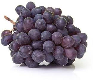 Grapes - Bangalore blue