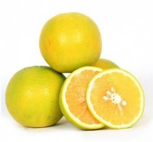 Sweet Lime Mosambi