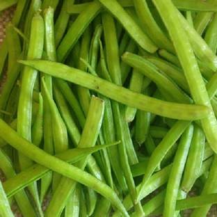 Kofy Cluster Beans Seed