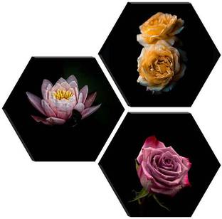 saf SET OF 3 HEXAGON MODERN ART Embossed 21 inch x 21 inch Painting