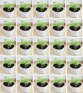 Growsmart Terrace Gardening 24cmx24cmx40 cm( 20 nos) Grow Bag