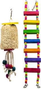 GREENBIRDS Climbing Perch Bird, Guinea Pig, Hamster, Mouse, Rabbit, Squirrel