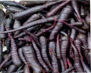 VibeX BLACK CARROT, KALI GAJAR Seed