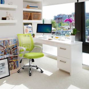 Finch Fox Low Back Royal Ergonomic Desk Mesh Chair in Green Colour Fabric Office Executive Chair