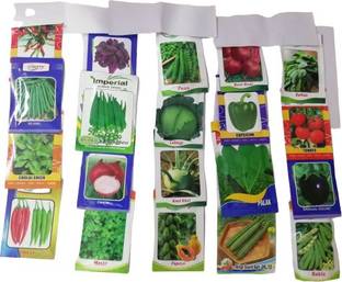 Raunak seedd Vegetabale seeds combo Seed