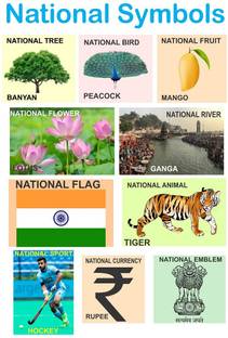 Zampyy 60 cm National Symbol Self Adhesive Sticker