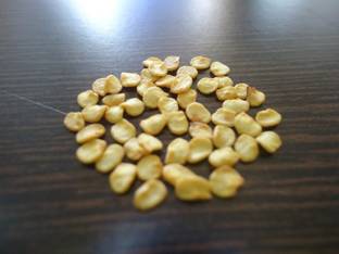 VibeX XX-409-High Yield Green long Variety Hybrid Chilli Pepper Seed