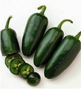 VibeX ® XX-41-Pepper, Chilli Jalapeno Pickled Chilli Seeds Seed