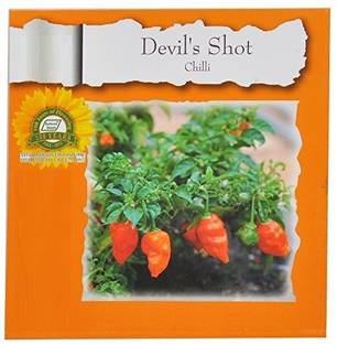VibeX XX-480-Garden Ornamental Hot Chilli Organic Seeds Seed