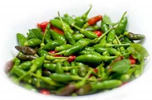 Qualtivate ® Bird Eye Chilli - Kanthari Mulaku, Thai Pepper, Tiny Chilli Seed