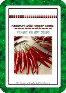 VibeX ™ XX-726-Hybrid Variety Kashmiri Chilli Pepper Seeds Seed
