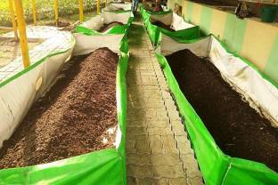 TRADITIONAL TRENDZZ XXL-688 - Vermicompost 100% Homemade Organic Compost for Plants - 2.5Kgs-ay-484 Fertilizer, Manure