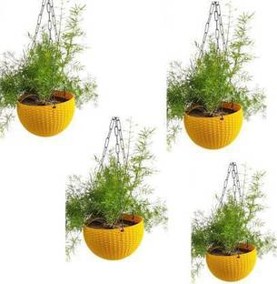 Funtastik Hanging pots for Plants and Flowers for Garden Balcony Plant Container Set