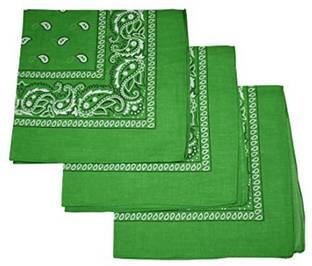 PAROPKAR Bandanas 22 X 22 Inch 100% Cotton Novelty Double Sided Print Paisley Cowboy Bandana Party Favor Scarf Headband Handkerchiefs ["Green"] Handkerchief