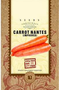 VibeX ® XL-491-Improved Carrot Nantes Seeds-25 x Seeds Seed