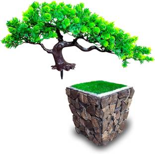Fns Store Presents Beautifully Design Natural Looking Green Tree Bonsai And Coconut Pot Bonsai Wild Artificial Plant With Pot Price In India Buy Fns Store Presents Beautifully Design Natural Looking