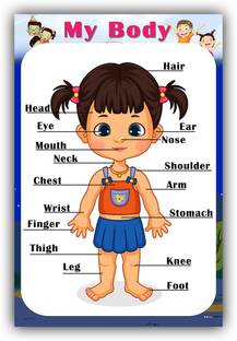 Xpression Decor Months of year Charts Wall Poster for school and home Décor Paper Print