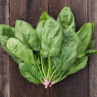 VibeX Spinach Vegetable Seeds Seed
