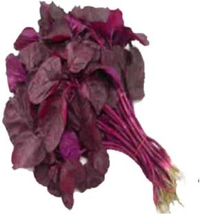 VibeX RED AMARANTHS Seed