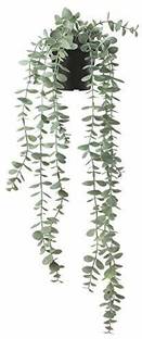 IKEA Artificial Potted Plant, in/Outdoor Hanging, Eucalyptus, 9 cm (3 ½") Wild Artificial Plant  with Pot