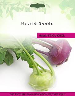 VibeX ® LXI-23 Knol Khol Vegetable Seeds Seed