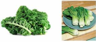VibeX ® XLL-42 Brassica Leave Kale Edible Green Leaves Seeds Pak Choy Seeds Seed