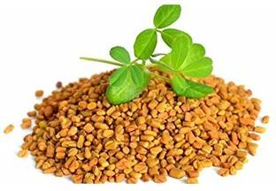 Biosnyg Fenugreek Methi Seeds 100gm Seeds Seed