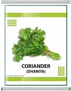 VibeX Coriander Seed