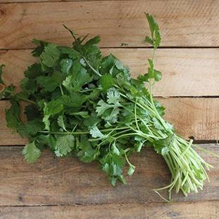 VibeX ® XLL-391 Hybrid Seeds Coriander-25 x Seeds Seed