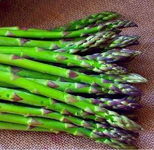 VibeX ™ VXL-11 Herb Plants Seeds - Asparagus Officinalis Vegetable Crop Seed