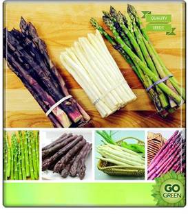 CRGO ASPARAGUS Seed