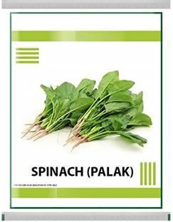 VibeX Spinach Seed