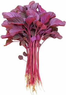 VibeX ® XL-491 Chinese Spinach Amaranthus Seeds (Red)-25 Seeds Seed
