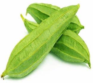 ActrovaX Ridge Gourd Hybrid Vegetable -Tori-Luffa-Jhinga [2gm Seeds] Seed