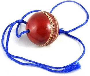 shakti sports industries Hanging Cricket Training Ball