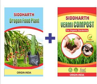 SIDDHARTH FISH FARM Dragon Tree