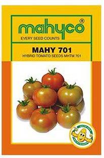 Mahyco Bitter Gourd Organic F1 Hybrid Seeds Live Green Bitter Gourd Seed Price In India Buy Mahyco Bitter Gourd Organic F1 Hybrid Seeds Live Green Bitter Gourd Seed Online At Flipkart Com Mahyco Bitter Gourd Organic F1 Hybrid Seeds Live Green Bitter Gourd Seed Price In India Buy Mahyco Bitter Gourd Organic F1 Hybrid Seeds Live Green Bitter Gourd Seed Online At Flipkart Com